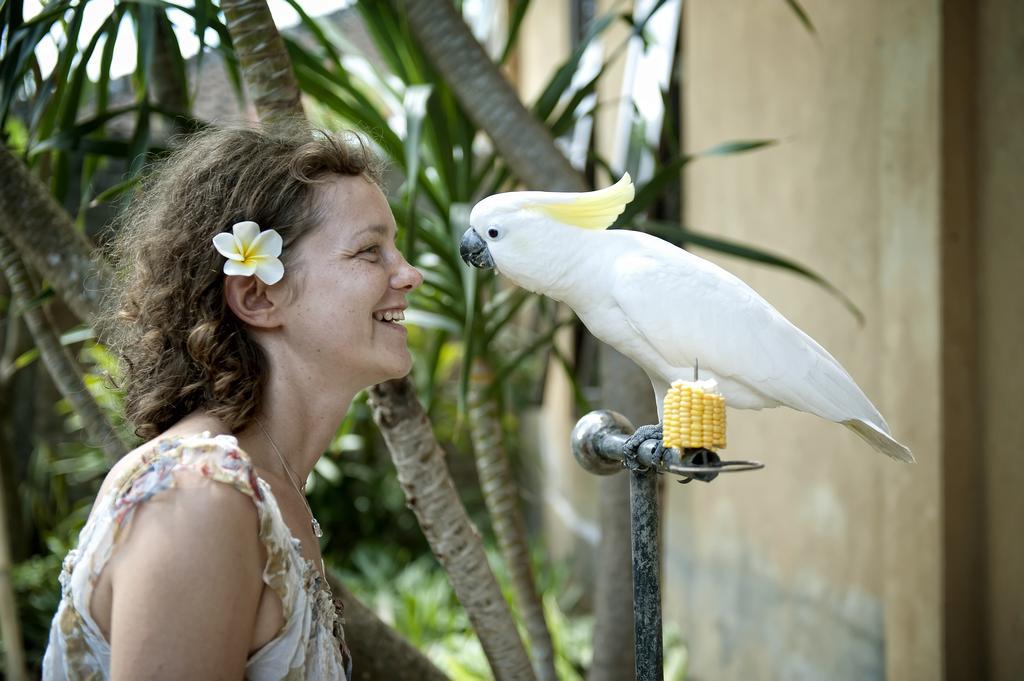 Teja Home Stay Ubud  Ngoại thất bức ảnh
